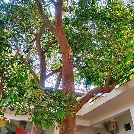 Green Hub Pushkar Exterior photo