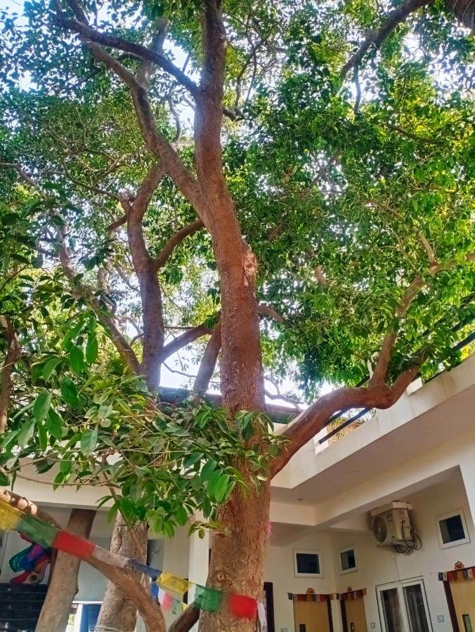 Green Hub Pushkar Exterior photo